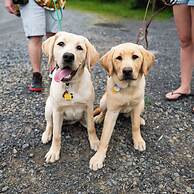 La Tourelle Inn & Spa