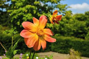 Holiday Inn Express & Suites La Jolla – Windansea Beach by IHG