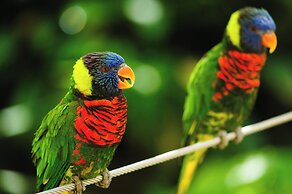 Holiday Inn Express & Suites La Jolla – Windansea Beach by IHG