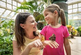 Callaway Resort & Gardens