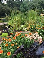 Callaway Resort & Gardens
