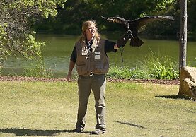 Callaway Resort & Gardens