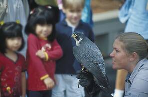 Callaway Resort & Gardens