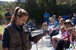 Callaway Resort & Gardens