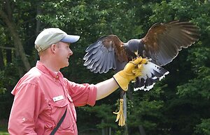 The Omni Homestead Resort & Spa