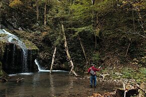 The Omni Homestead Resort & Spa