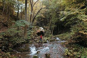 The Omni Homestead Resort & Spa