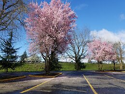 Village Inn Springfield