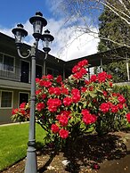 Village Inn Springfield