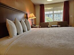 Village Inn Springfield