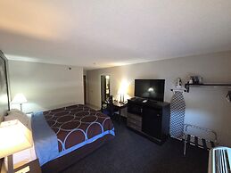 Super 8 by Wyndham Elkins