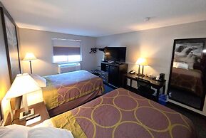 Super 8 by Wyndham Elkins