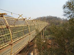 The Palace of the Lost City at Sun City Resort