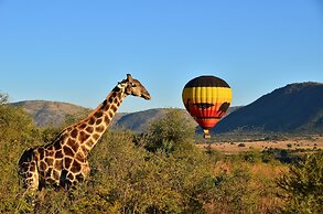 The Palace of the Lost City at Sun City Resort