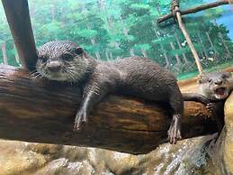 Hotel Emisia Sapporo