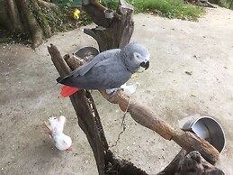 Paradise Beach Resort Samui