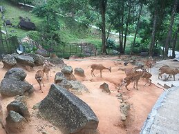 Paradise Beach Resort Samui