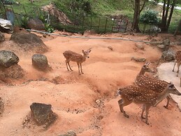 Paradise Beach Resort Samui