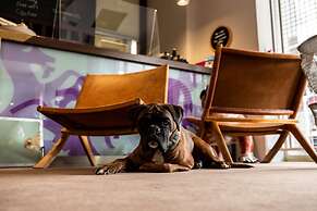 Villa Carlton - Adults Only