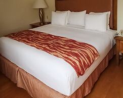 Rodeway Inn South Miami Coral Gables