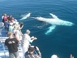 Best Western Ambassador Motor Lodge