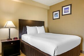 Comfort Inn International Dr.