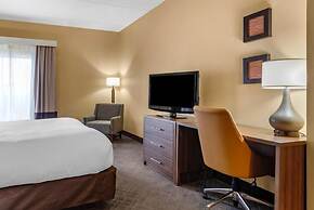 Comfort Inn & Suites at Stone Mountain