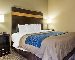 Comfort Inn & Suites at Stone Mountain