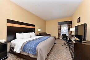 Comfort Inn & Suites at Stone Mountain