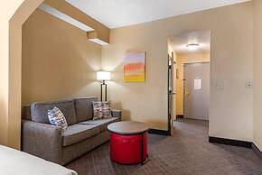 Comfort Inn & Suites at Stone Mountain