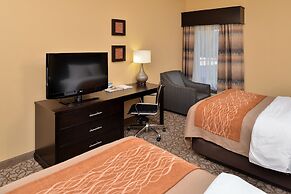 Comfort Inn & Suites at Stone Mountain