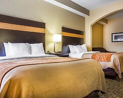 Comfort Inn & Suites at Stone Mountain