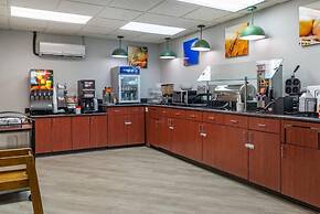 Comfort Inn & Suites at Stone Mountain