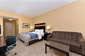Comfort Inn & Suites at Stone Mountain