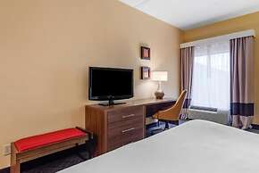 Comfort Inn & Suites at Stone Mountain