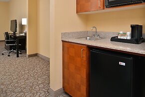 Comfort Inn & Suites at Stone Mountain