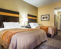 Comfort Inn & Suites at Stone Mountain