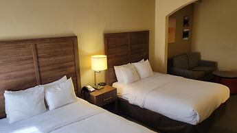 Comfort Inn & Suites at Stone Mountain