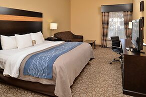 Comfort Inn & Suites at Stone Mountain