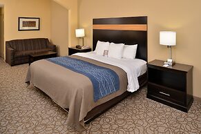 Comfort Inn & Suites at Stone Mountain