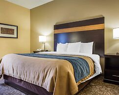 Comfort Inn & Suites at Stone Mountain
