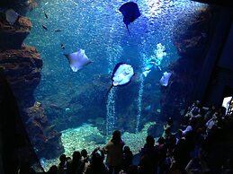 HOTEL LiVEMAX Kyoto Gojo