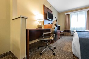 Comfort Suites Rochester Henrietta University Area