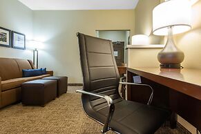 Comfort Suites Rochester Henrietta University Area