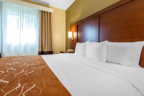 Comfort Suites Rochester Henrietta University Area