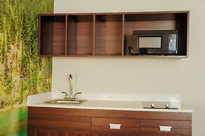 Clarion Pointe-Dillard near Blue Ridge Mountains