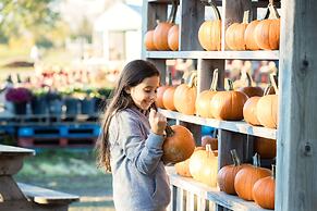 Holiday Inn Hotel & Suites Ottawa Kanata by IHG