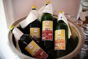 Alpine Spa Hotel Haus Hirt