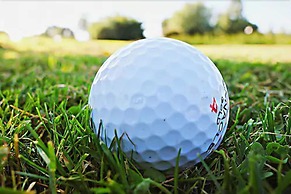 Hampton Inn - Naples - I-75