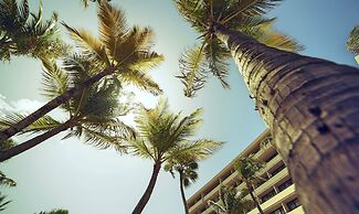 Barceló Aruba - All Inclusive